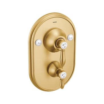 MOEN TS32100BG Image 1