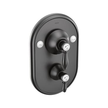 MOEN TS32100BL Image 1