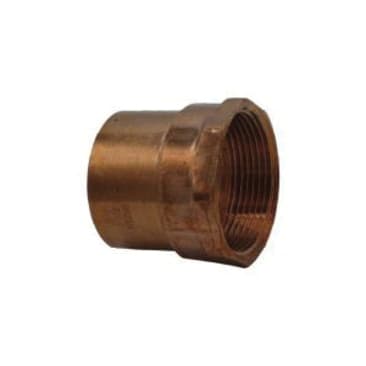 CBS 100635010 Image 2