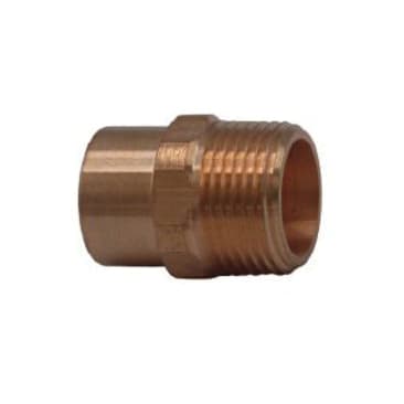 CBS 100636007 Image 2