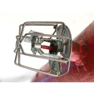 CHEMFAX CH103494 Image 1