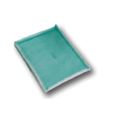 ESP 10050900100 Image 1