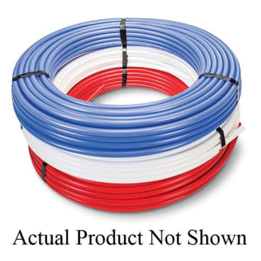 CBS 747510250 Image 1