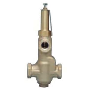 WATTS 0274300 Image 1