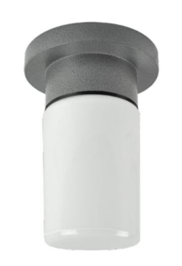 DESIGN LIGHTING RCG100 Image 2