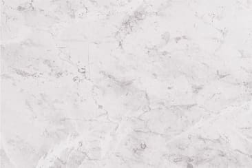 FLEURCO FB24838-2273 Image 1