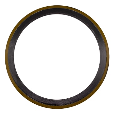 GASKET FLEX 304 SS 150# Image 1