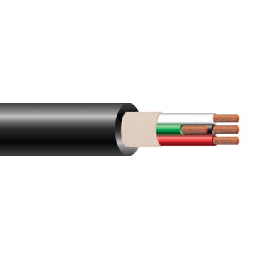 WIRE CABTIRE SHORTS Image 1