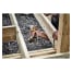 DEWALT DCF840B Image 3