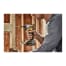 DEWALT DCF840B Image 4