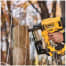 DEWALT DCFS950P2 Image 3