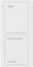LUTRON PJ2-2B-GWH-P02 Image 6