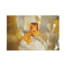 MOEN YB9863ORB Image 2