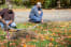 REED 08141 Image 15