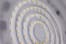 SATCO 65-963 Image 3
