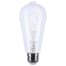 SATCO S10525 Image 1