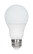 SATCO S11407 Image 1