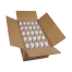 SATCO S11413 Image 4