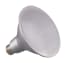 SATCO S29446 Image 2