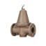 WATTS 0298620 Image 4