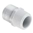 PVC SCH 40 ADAPTER S/MIP Image 2