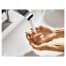 HANSGROHE 75410001 Image 5
