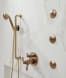 BRIZO HL7534-GL Image 8