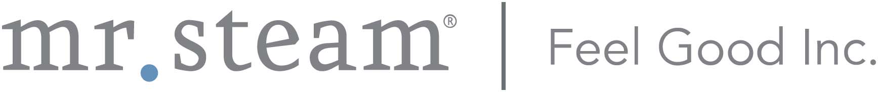 mr. steam® Logo