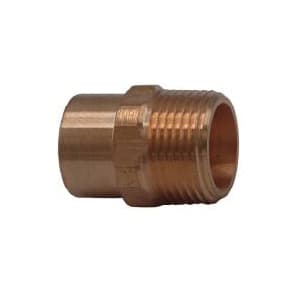 CBS 100636005 Image 2