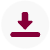 Downloads Icon