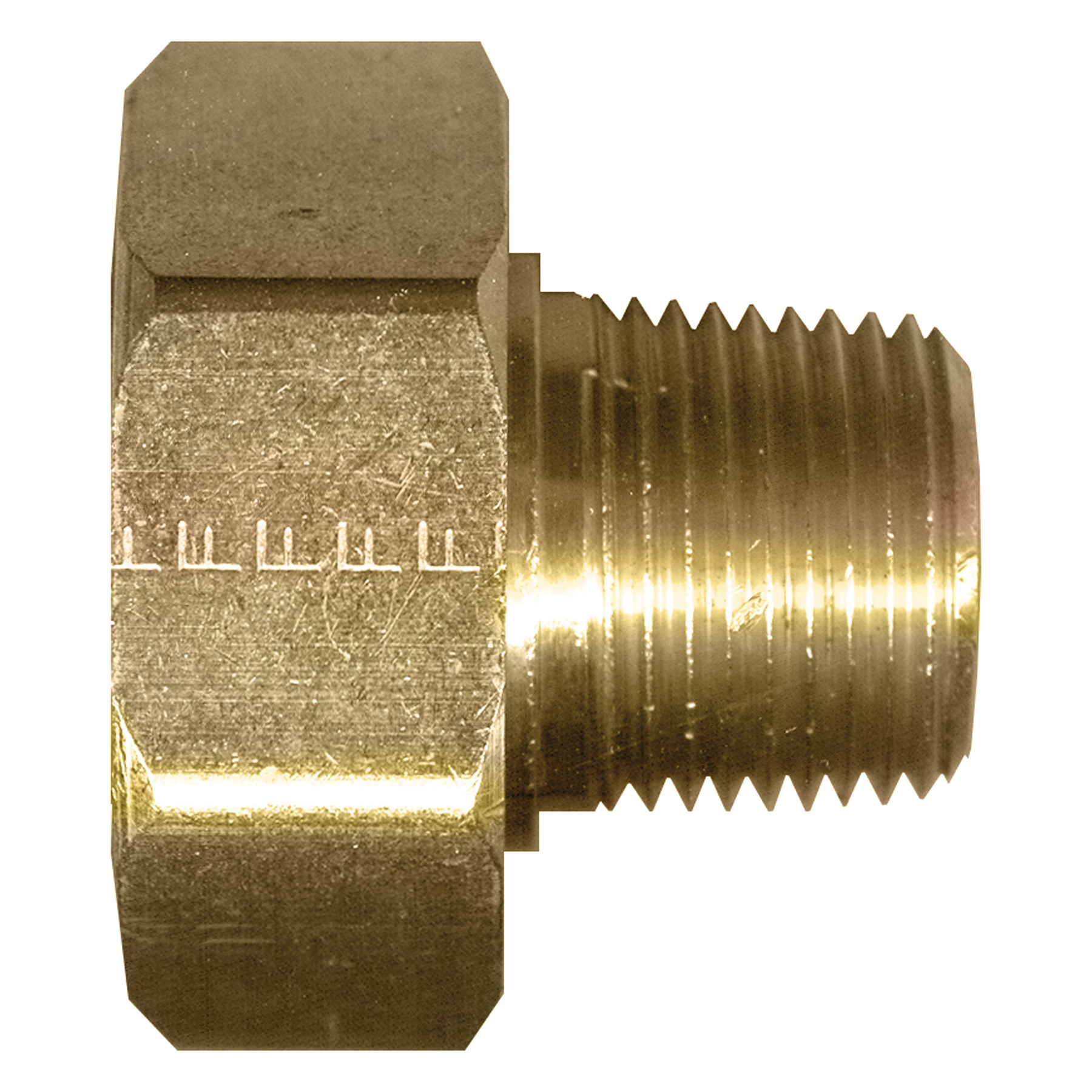FAIRVIEW 194-D 1/2 IPMXHF SWVL CONN | Bartle & Gibson Wholesale