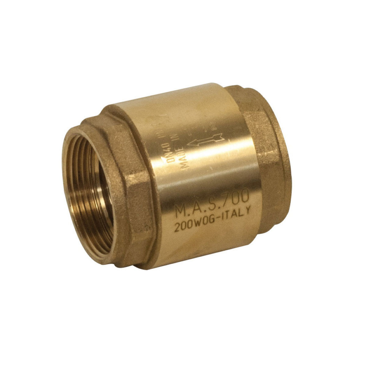 MAS 012-50083 1-1/4 IP SPRING CHECK VLV 700 | Bartle & Gibson Wholesale