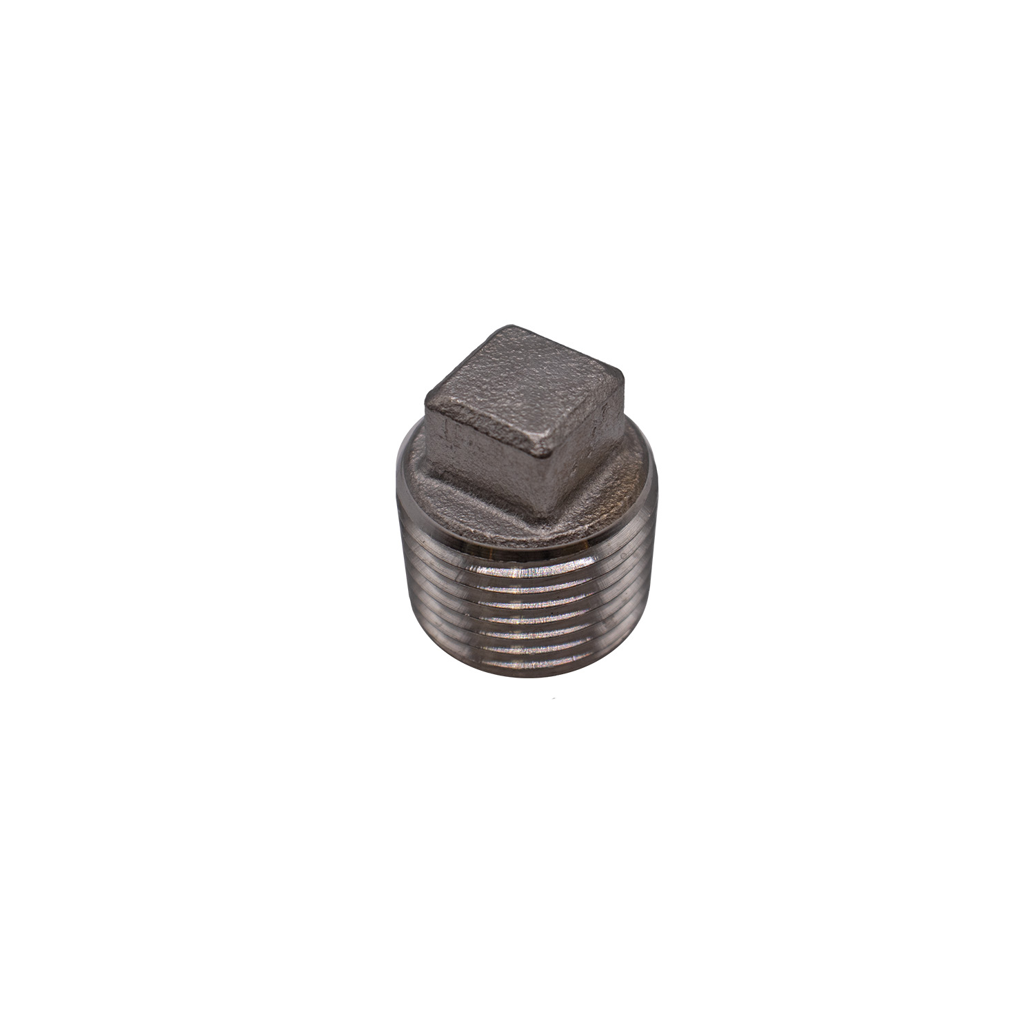 1/2IN MIP SS304 SQUARE HEAD PLUG | Bartle & Gibson Wholesale
