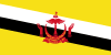 BN country flag