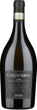 Bollina Curtis Nova Gavi 'Dada' 2018