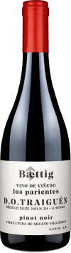 Baettig Vino de Viñedo Los Parientes Pinot Noir Traiguén 2019