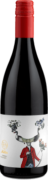 Te Awanga Mister Syrah Hawke's Bay 2017