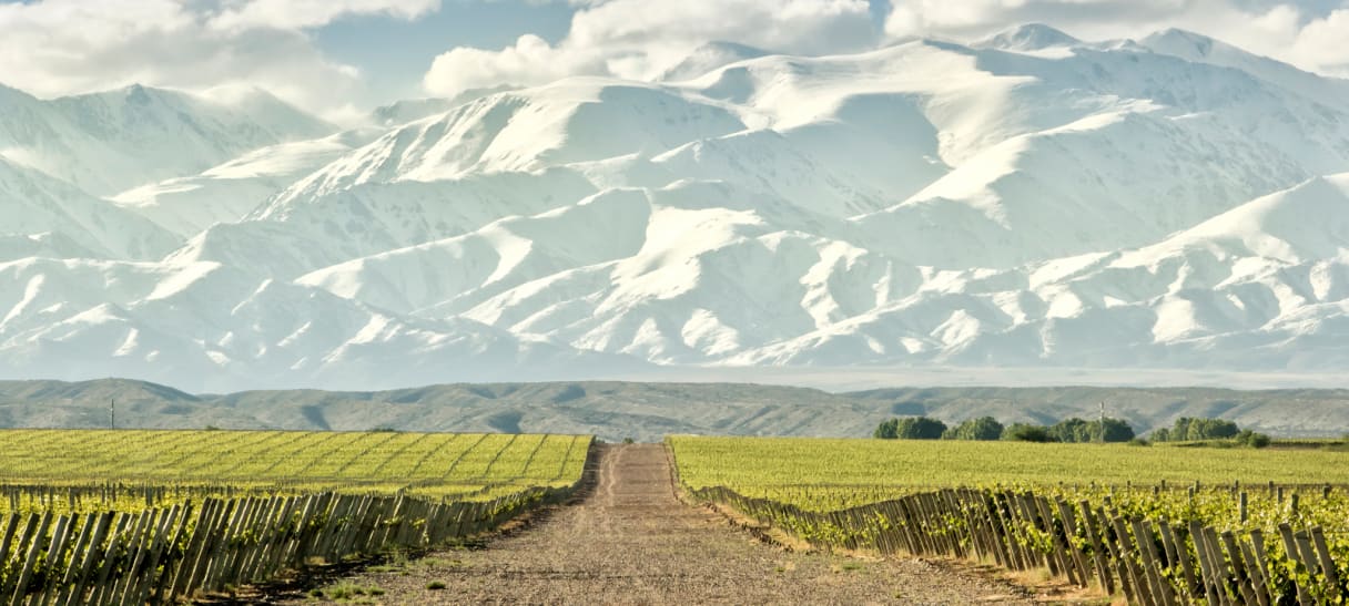 Wein aus Argentinië