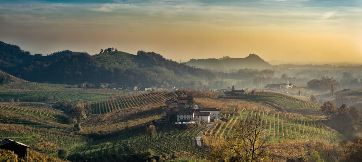 Wein aus Champagne, France