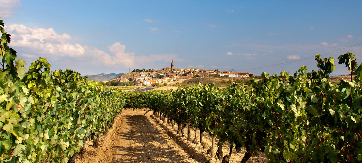 Wein aus Rioja, Espagne