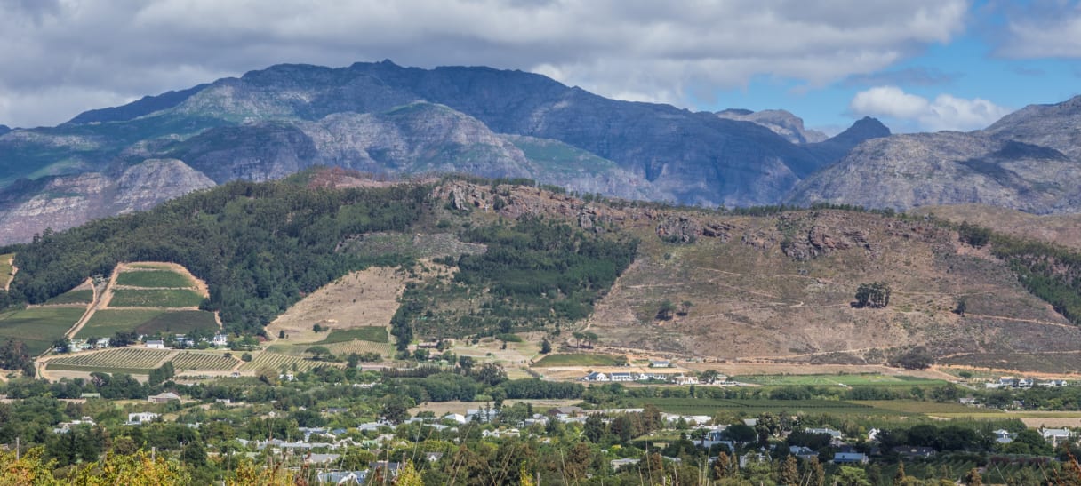 Wein aus Stellenbosch, Südafrika