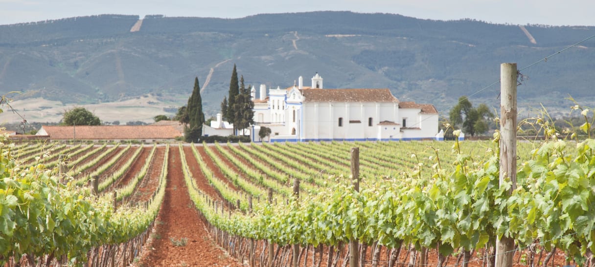 Wein aus Alentejo, Portugal