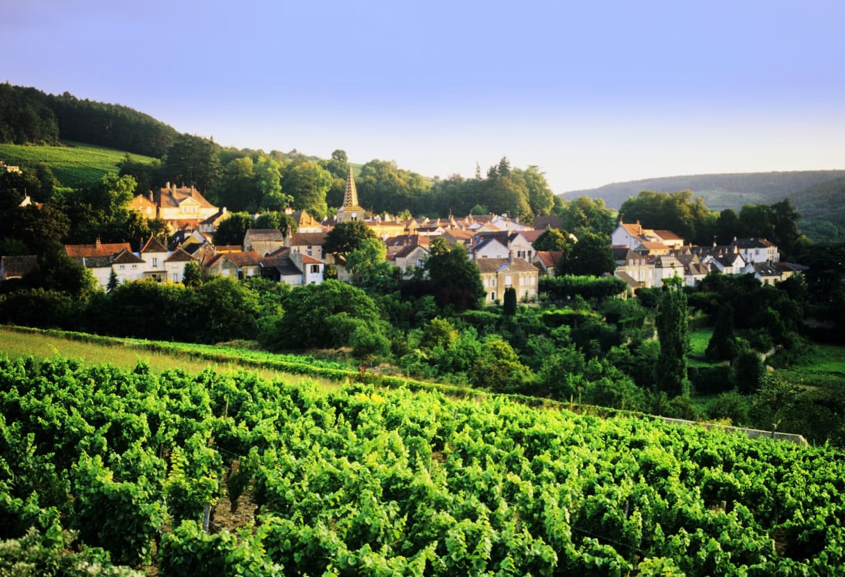 Wein aus Bourgogne, France