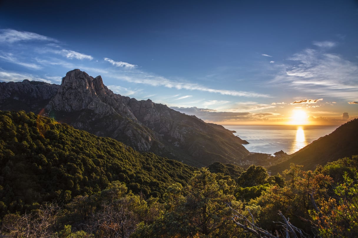 Wein aus Corsica, Frankrijk