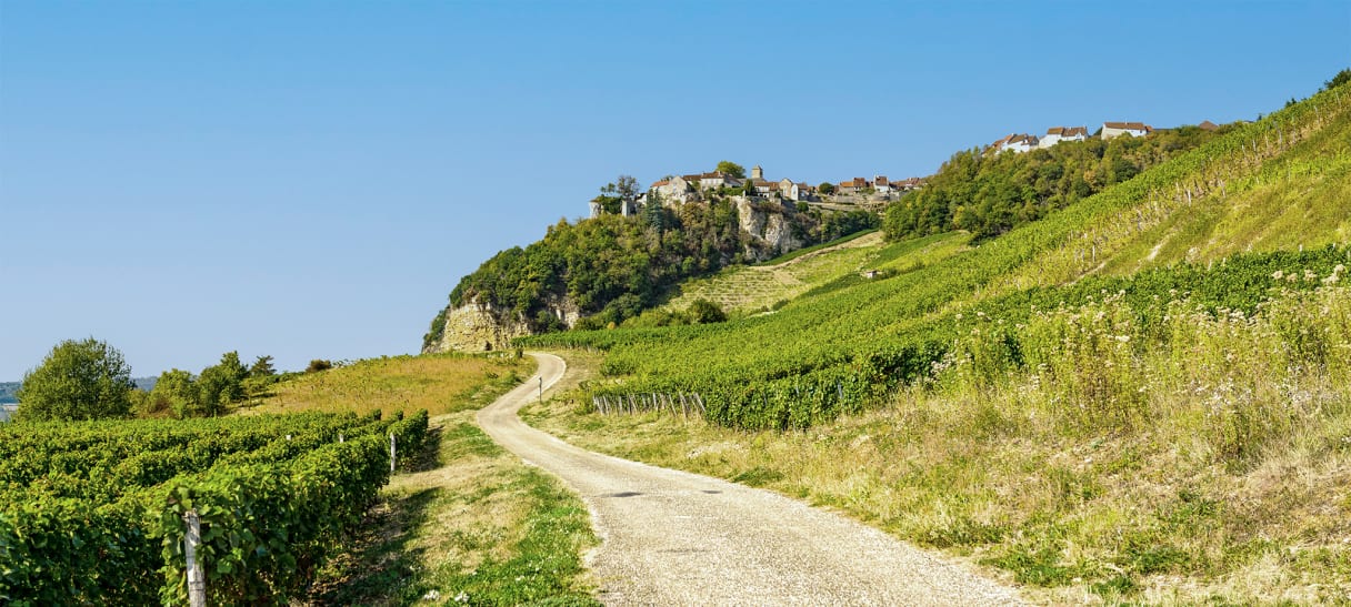 Wein aus Jura, Frankrijk
