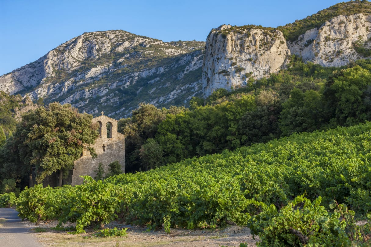 Wein aus Languedoc, France