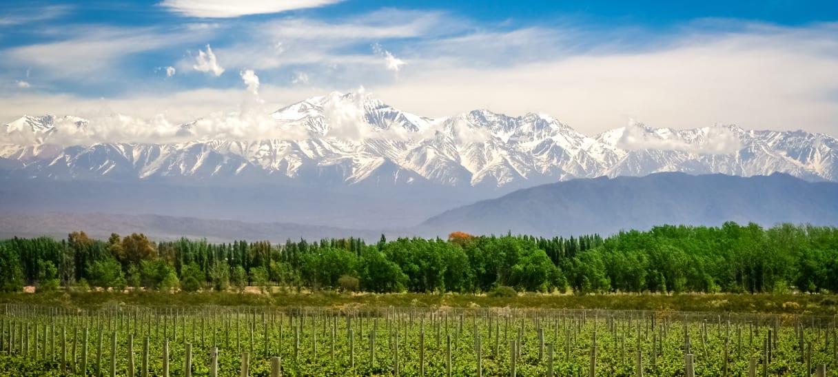 Wein aus Mendoza, Armenien