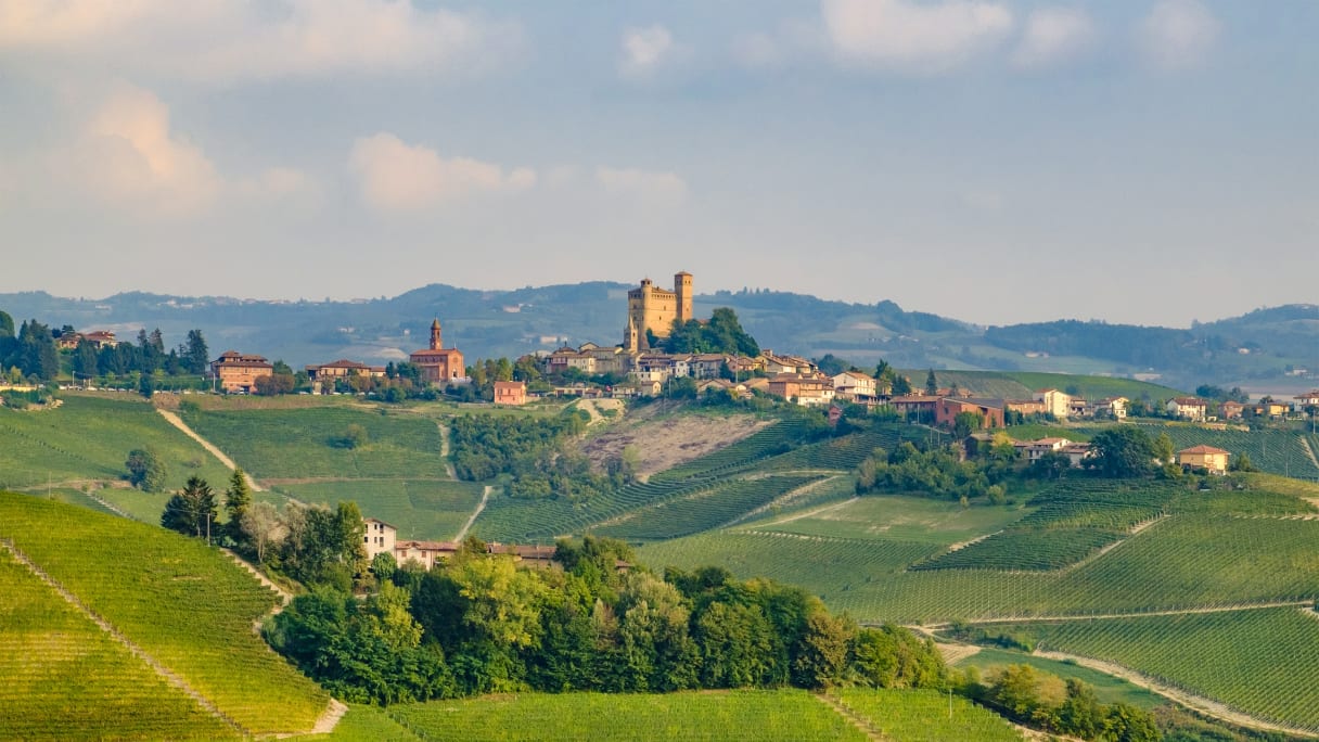 Wein aus Piémont, Italie