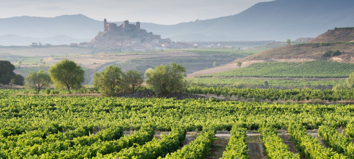 Wein aus Ribera del Duero, Spanien