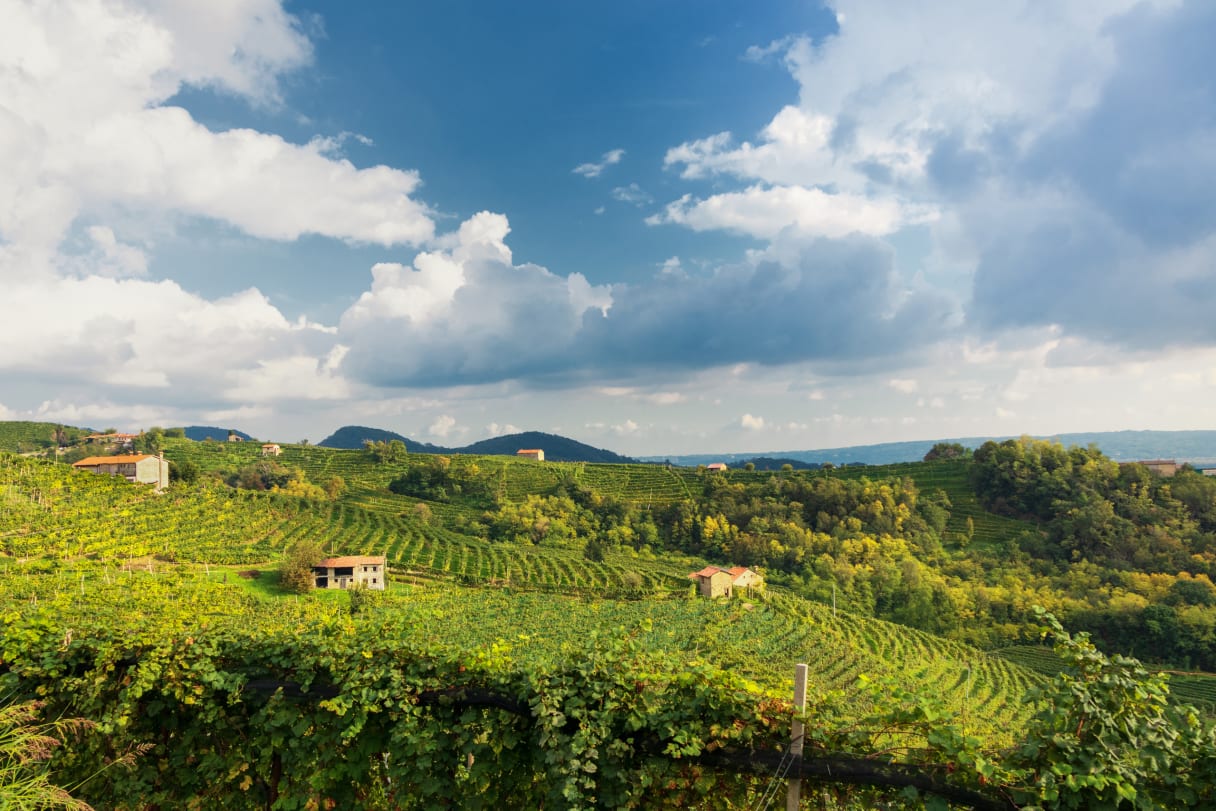 Wein aus Venetië, Italië